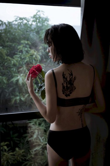 乌鸦小姐与蜥蜴先生电视剧免费版